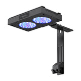 NICREW 100 Watts Aquarium LED Reef Light, Dimmable Full Spectrum Marine LED for Saltwater Coral Fish Tanks