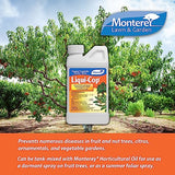 Monterey Liqui-Cop Concentrate