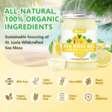 UPNEUTRI Sea Moss Gel - Wildcrafted Irish sea Moss 92 Minerals and Vitamins Immune Defense Thyroid Antioxidant Support, Vegan Non-GMO Lemon Flavored 12 OZ