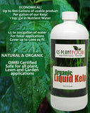 Organic Kelp Fertilizer by GS Plant Foods - Omri Listed(1 Gallon) - Liquid Kelp Concentrate for Gardens, Lawns & Soil Yields 800+ gallons