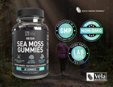 Véla Irish Sea Moss Gummies | 3,000mg per Serving | Burdock Root & Bladderwrack | 60 Gummies | Non-GMO, 3rd Party Tested