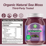 Sea Moss Gel, Organic Raw Wildcrafted Irish Seamoss Gel Immune and Digestive Support Vitamin Mineral Antioxidant Supplements, Elderberry,Mixed Berry Flavor 12oz