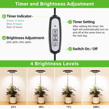 LORDEM Grow Light, LED Plant Light for Indoor Plants Growing, Full Spectrum Desk Growth Lamp with Automatic Timer for 4H/8H/12H, 4 Dimmable Levels, Height Adjustable 9.8"-30.6", Black