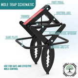 LETYANGER 2024 2 Pcs Mole Traps, Black Galvanized Steel Scissor Trap, Reusable Mole Gopher Traps, Mole Killer, Galvanized Steel Mole Scissor Trap, Ground Mole Trap for Lawns