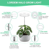 LORDEM Grow Light, Full Spectrum & Red Blue Spectrum Plant Light for Indoor Plants, Height Adjustable Growing Lamp with Auto On/Off Timer 4/8/12H, 4 Dimmable Brightness, 3 Spectrum Modes, Pack of 2