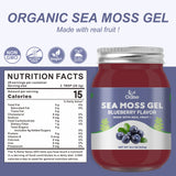 OALSE Sea Moss Gel - 18.5oz Blueberry Flavor Sea Moss Gel Organic Raw Nutritious Organic Sea Moss Gel in Minerals, Proteins & Vitamins, Vegan-Friendly, 2 Tablespoon Daily