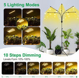 KEELIXIN Grow Lights for Indoor Plants,5 Heads Plant Lights for Indoor Plant,LED Full Spectrum Plant Lights,Adjustable Plant Grow Light,4/8/12H Timer,Warm White Grow Lamp for Various Plant