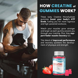 Creatine Monohydrate Gummies for Men & Women, 5g of Creatine Per Serving for Enhanced Muscle Growth, Strength, and Recovery, Low Sugar-Pre-Workout Supplement-Strawberry Flavor, 60 Count