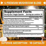 FRESH HEALTHCARE Mushroom Supplement - Lions Mane, Cordyceps, Reishi, Turkey Tail, and Shitake - Immune and Brain Support - Peak Power Mushroom Supplement - 90 Vegan Capsules