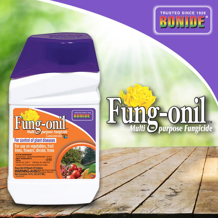 Bonide Fung-onil Multi-Purpose Fungicide, 16 oz Concentrate for Plant Disease Control, Controls Blight, Mildew & More