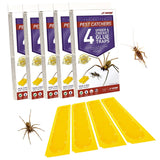 J T Eaton 076706844002 Spider and Cricket Glue Trap (Pack of 5), White Box