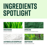 Vibrant Health, Green Vibrance, Vegan Superfood Powder, 60 Servings