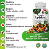 Organic Superfood Greens Fruits and Veggies Complex - Best Dietary Supplement with 14 Greens &14 Fruits & Vegetables with Alfalfa Rich in Antioxidants Organic Ingredients Non-GMO (120 Count Pack of 2)