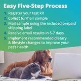 5Strands Pet Raw Food Intolerance Test, at Home Sensitivity Test for Dogs & Cats, 312 Items, Hair Analysis, Accurate for All Ages and Breed, Results in 5 Days - Chicken, Beef, Duck