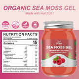 OALSE Irish Sea Moss Gel - Nutritious Sea Moss Advanced Superfood for Antioxidant & Immune Support Raspberry Flavor 15OZ