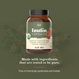 Complete Natural Products Organic Inulin Capsules - 520mg 100 Pills, Organic Jerusalem Artichoke Inulin Capsules