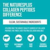 NaturesPlus Collagen Peptides - 0.65 lbs Powder - Hair, Skin, Nail & Joint Health, Immune System Support - Non-GMO, Gluten Free - 28 Servings
