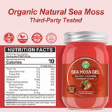 Sea Moss Gel Organic Raw Irish Seamoss Gel Vegan Superfood Immune and Digestive Support Vitamin Mineral, Strawberry 12oz