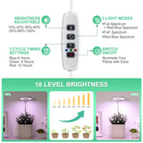 LORDEM Grow Light, Full Spectrum & Red Blue Spectrum Plant Light for Indoor Plants, Height Adjustable Growing Lamp with Auto On/Off Timer 4/8/12H, 4 Dimmable Brightness, 3 Spectrum Modes, Pack of 2