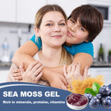 Sea Moss Gel, Organic Raw Flavored Irish Seamoss Gel Immune and Digestive Support Vitamin Mineral Antioxidant Supplements, Blueberry 12oz