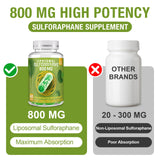 800 MG Liposomal Sulforaphane, Powerful Dual-Delivery for Maximum Absorption & Potency, Full-Spectrum Broccoli Extract, Antioxidant & Liver Supplement, 120 Softgels