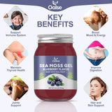 OALSE Sea Moss Gel - 18.5oz Blueberry Flavor Sea Moss Gel Organic Raw Nutritious Organic Sea Moss Gel in Minerals, Proteins & Vitamins, Vegan-Friendly, 2 Tablespoon Daily