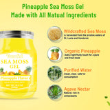 18.5 OZ Sea Moss Gel, Organic Raw Vegan Pineapple Flavor for Hair Skin Thyroid & Immune Support, Wildcrafted Irish Sea Moss Gel, Superfood Rich in 102 Vitamins & Minerals