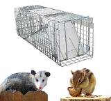 Large 1-Door Humane Animal Trap for Raccoons, Cats, Groundhogs, Opossums, with Metal Guard Handle, 24inch x 7.5inch x 8.3inch