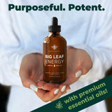 Big Leaf Energy : Refill : Plant Wellness : 100% Organic Cold Pressed Neem + Essential Oils (4 OZ, Makes up to 4 gallons)