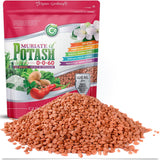 Muriate of Potash 0-0-60 Fertilizer Made in USA - MOP Potassium Plant Food for Indoor/Outdoor Plants & Flower Gardens – Promotes Big Blooms! Fruit, Vegetables, Holistic Herbs, Trees