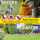 ANEWNICE Squirrel Repellent Outdoor, Mouse Repellent, Peppermint Rodent Repellent, Mice Repellent, Chipmunk Repellent, Keep Squirrels Out of Garden 8P