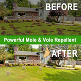 DALIYREPAL Mole Repellent,Vole Repellent Outdoor,Gopher Repellent, Mole Repellent for Lawns,8 Count Natural Gopher Repellent Keep Moles and Voles Out of Your Lawn and Garden, Safe Around Pet & Plant