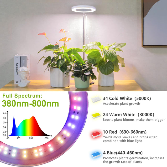 LORDEM Grow Light, LED Plant Light for Indoor Plants Growing, Full Spectrum Desk Growth Lamp with Automatic Timer for 4H/8H/12H, 4 Dimmable Levels, Height Adjustable 9.8"-30.6"