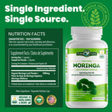 PURA VIDA MORINGA Moringa Capsules Single Origin Organic Moringa Powder. Moringa Leaf. Energy, Metabolism, & Immune Support. 120ct. 500mg Caps. (Pack of 2)