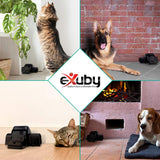 eXuby Pet-Safe & Child-Safe Rat Traps w/Tunnel Design (2-Pack) – Dual Entry for Better Capture Rate - No Harmful Poison - Prevents Accidental Triggering - Avoid Finger Snapping - Setup in Seconds.