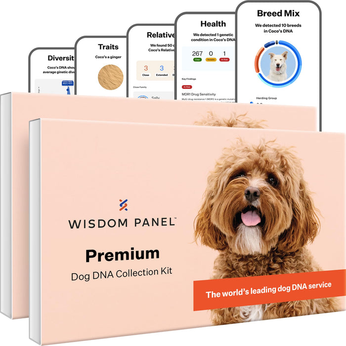 Wisdom Panel Premium Dog DNA Kit: Most Comprehensive with 265+ Health Tests, Identify 365+ Dog Breeds, 50+ Traits, Relatives, Ancestry, Genetic Diversity - 2 Pack