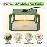 Flea Traps for Inside Your Home, Flea Killer Trap Indoor Natural Safe Pest Control Trapper House Sticky Insect Killer with Light & Switch Bed Bug Trap, Safe for Kid & Pet, 2 Packs Green