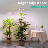 LORDEM Plant Grow Light, Full Spectrum Plant Light for Indoor Plants, Brightness Adjustable LED Growing Lamp with Auto On/Off Timer 4H/8H/12H, Height Adjustable, Ideal for Tall Plants, Pack of 2