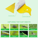 144 Pack Fruit Fly Traps Fungus Gnat Traps Yellow Sticky Bug Traps,Non-Toxic and Odorless for Indoor Outdoor Use Protect The Plant