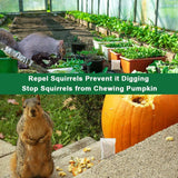 SUAVEC Squirrel Repellent, Chipmunk Repellent, Squirrel Repellant for Attic, Outdoor Squirrel Repellents, Squirrels Deterrent for Garden, Mint Repellent Squirrel for Plants, Keep Squirrel Away-12P