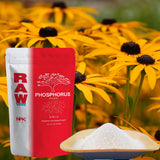 RAW Phosphorus 8oz - High-Performance Plant Booster for Flowering and Root Development - Indoor, Outdoor, Hydroponic Use