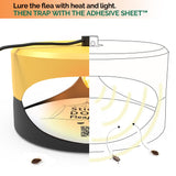 Yellow and Dark Gray Aspectek Sticky Dome Flea Trap with 2 Sticky Discs. Odorless Insect Traps, Effective for Indoor Use - 2 Pack