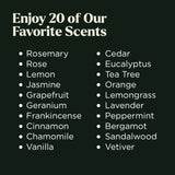 Lagunamoon Top 20 Gift Set - 10mL Multi-Scent Essential Oils for Aromatherapy, Massage, Candle Making, Skin & Hair Care - Peppermint, Tea Tree, Lavender, Eucalyptus, Lemongrass