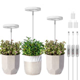 LORDEM Grow Light, Full Spectrum LED Plant Light for Indoor Plants, Height Adjustable Growing Lamp with Auto On/Off Timer 4/8/12H, 4 Dimmable Brightness, Ideal for Small Plants, 3 Packs