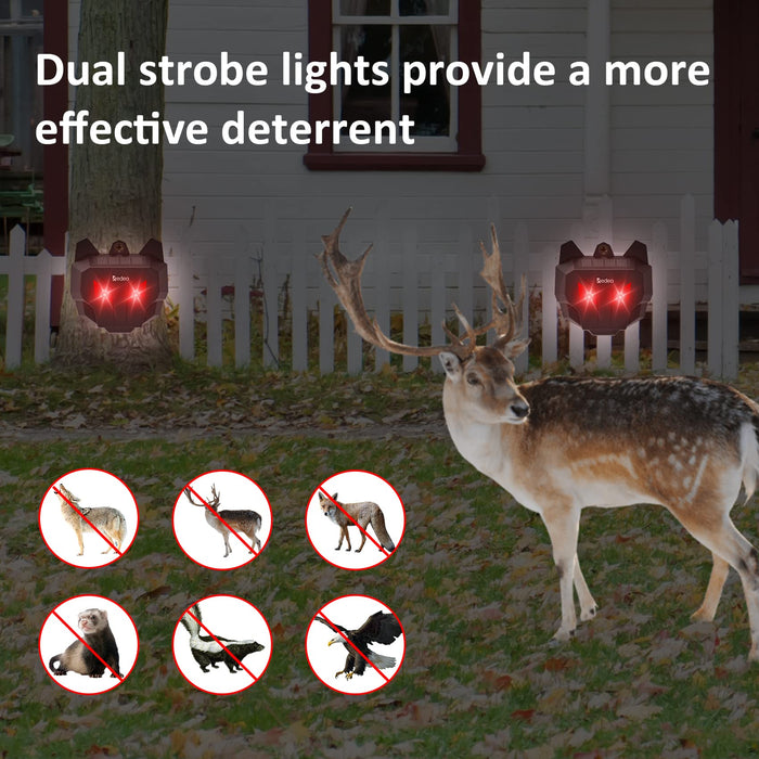 Redeo Solar Nocturnal Animal Repeller Predator Control Light Coyote Repellent Devices Waterproof Fox Raccoon Skunk Deer Deterrent with Red LED Lights for Garden Farm Chicken Coop