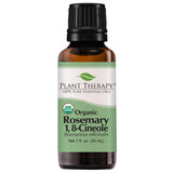 Plant Therapy Organic Rosemary Essential Oil 100% Pure, USDA Certified Organic, Undiluted, Natural Aromatherapy, Therapeutic Grade 30 mL (1 oz)
