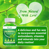 Sugar Free Chlorophyll Gummies for Women Men, Adult & Kids, Organic Chlorophyll 400mg with Sea Moss Vitamin C & Zinc for Body Odor Skin Energy Immune Support Natural Deodorant, Apple Flavor 60 Ct