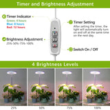 LORDEM Grow Light, LED Plant Light for Indoor Plants Growing, Full Spectrum Desk Growth Lamp with Automatic Timer for 4H/8H/12H, 4 Dimmable Levels, Height Adjustable 9.8"-30.6"