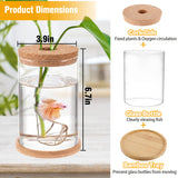 Betta Fish Tank - Mini Fish Bowls for Beta Fish, Glass Aquaponic Fish Tank Clear Hydroponic Plant Terrarium for Promoted Ecosphere Aquatic Ecosystem - 6.7" H * 3.9" D