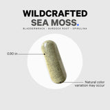 Codeage Raw Wildcrafted Irish Sea Moss Supplement, Spirulina Algae, Bladderwrack Seaweed, Burdock Root, Black Pepper, Vegan, Non-GMO, 120 Capsules
